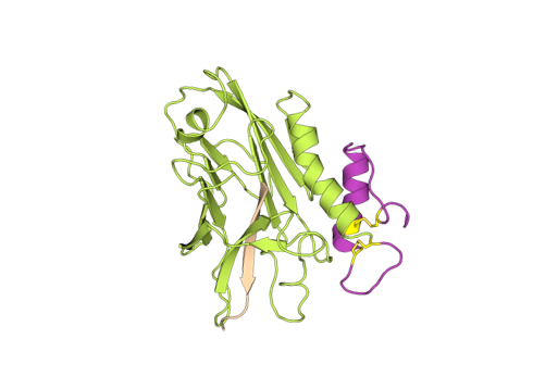 crystal structure of the gpr97 extracellular domain